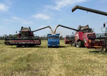 Украинские дроны уничтожили в ДНР посевы на площади 748 га Украинские дроны уничтожили в ДНР посевы на площади 748 га