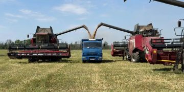 Украинские дроны уничтожили в ДНР посевы на площади 748 га Украинские дроны уничтожили в ДНР посевы на площади 748 га