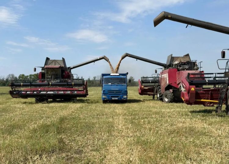 Украинские дроны уничтожили в ДНР посевы на площади 748 га Украинские дроны уничтожили в ДНР посевы на площади 748 га