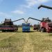 Украинские дроны уничтожили в ДНР посевы на площади 748 га Украинские дроны уничтожили в ДНР посевы на площади 748 га