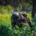 Войска «Центра» усиливают давление на подступах к Доброполью