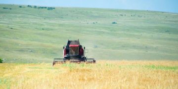 В Херсонской области предпринимателя осудили за мошенничество с сельхозсубсидиями В Херсонской области предпринимателя осудили за мошенничество с сельхозсубсидиями