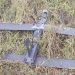 «Купол Донбасса» предотвратил за неделю 138 терактов в ДНР «Купол Донбасса» предотвратил за неделю 138 терактов в ДНР