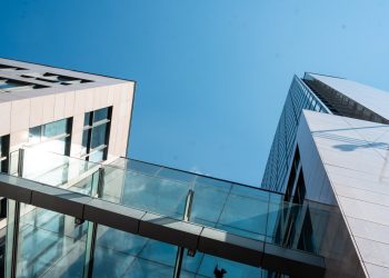 Свободная зона и льготные кредиты: какие меры поддержки гарантируют инвесторам в ДНР