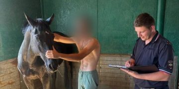 Вирусный пост из соцсетей о пугающей лошади в парке Горького Донецка оказался фейком