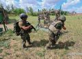 Группировка войск «Центр» освободила Петровку