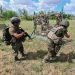 Группировка войск «Центр» освободила Петровку