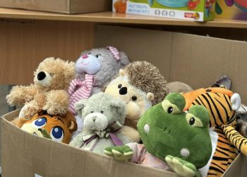Представительство ДНР в Москве собрало игрушки для детей в ПВР