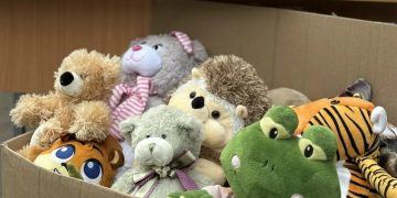 Представительство ДНР в Москве собрало игрушки для детей в ПВР Представительство ДНР в Москве собрало игрушки для детей в ПВР
