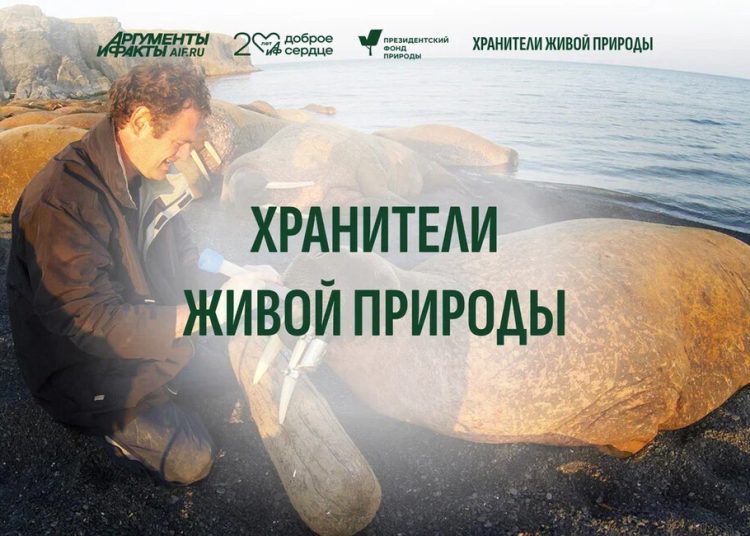 Герои среди нас: о ком рассказывает проект «Хранители живой природы»