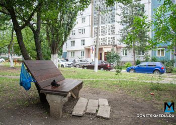 Трое против запустения: как жильцы донецкого дома добились перемен во дворе