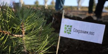 Владимир Сальдо утвердил первый Лесной план Херсонской области