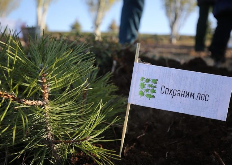 Владимир Сальдо утвердил первый Лесной план Херсонской области Владимир Сальдо утвердил первый Лесной план Херсонской области