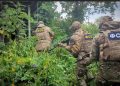 ФСБ обнаружила схрон с иностранным вооружением под Красноармейском