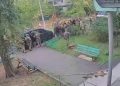 «Не та мова для перестрелки»: СБУ и ГУР попали под проверку языкового омбудсмена