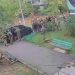 «Не ту мову обрали для перестрелки»: СБУ и ГУР попали под проверку языкового омбудсмена