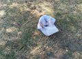 В Херсонской области дрон атаковал гражданский автобус: погибла член избиркома