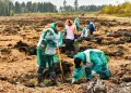 В ДНР высадят 144 тысяч деревьев для восстановления лесов, пострадавших от пожаров и боев