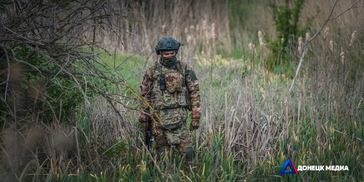Российские войска сорвали ротацию ВСУ в районе Новопавловки Российские войска сорвали ротацию ВСУ в районе Новопавловки