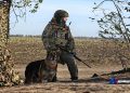 В Доброполье нашли брошенное оборудование украинских подразделений для БПЛА