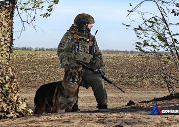 В Доброполье нашли брошенное оборудование украинских подразделений для БПЛА