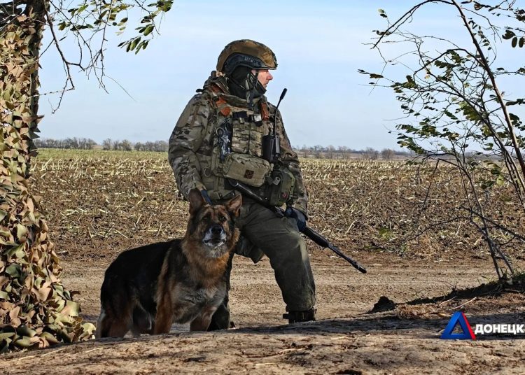 В Доброполье нашли брошенное оборудование украинских подразделений для БПЛА