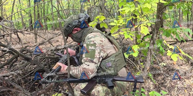 Эхо войны: что находят на бывших позициях в лесах ЛНР