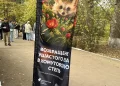 Новая «Тропа здоровья» в Макеевке, 560 операций провели в Шахтерске и возвращение редкого ежа. Дайджест за 13 октября