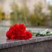 Молодогвардейцы ДНР почтили память погибших дорожников в Волновахе