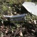 Три килограмма взрывчатки: в Донецке обезвредили боеголовку дрона