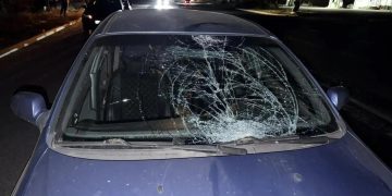 Два человека погибли и двое пострадали в ДТП с пешеходами в ДНР